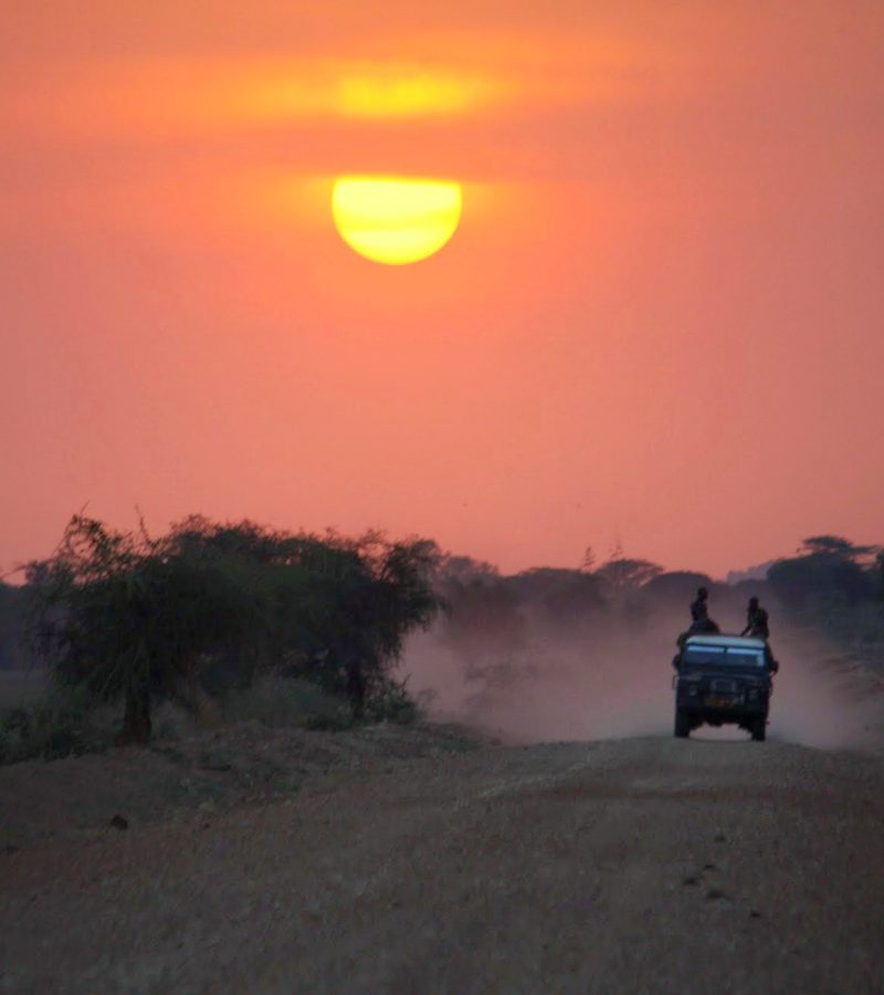 14-days-uganda-kenya-wildlife-circuit