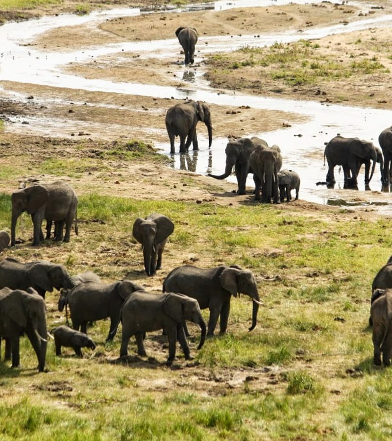 16-days-uganda-tanzania-circuit