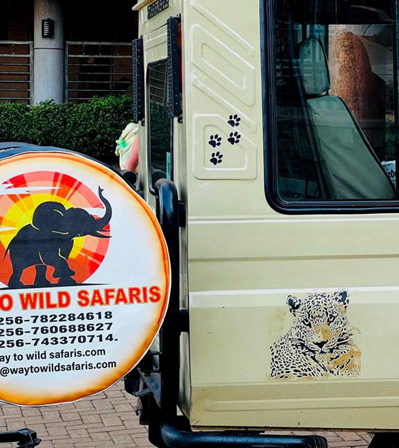 22-days-uganda-safari