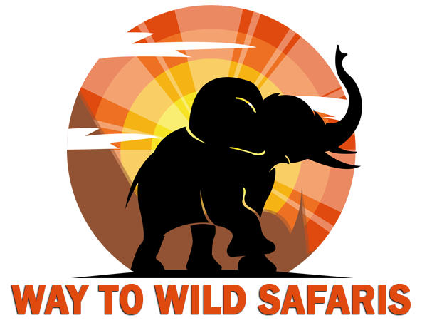 way-to-wild-safaris-logo